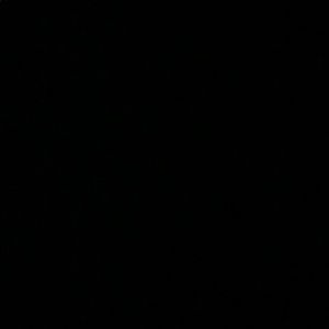 Meet your Posher, Katrina